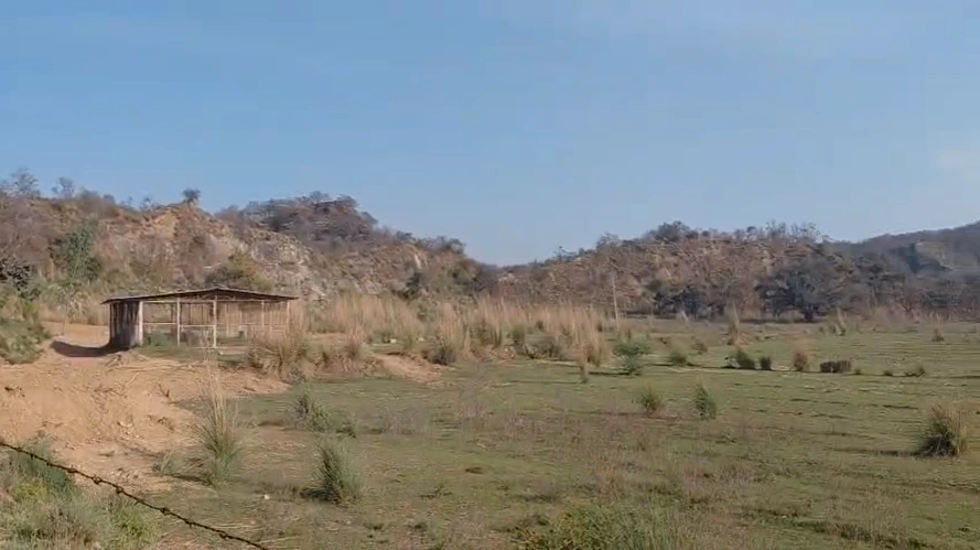 Raipur Rani, Haryana 134204, India