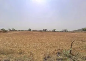 3FXF+RP Rajgarh, Haryana, India preview 2