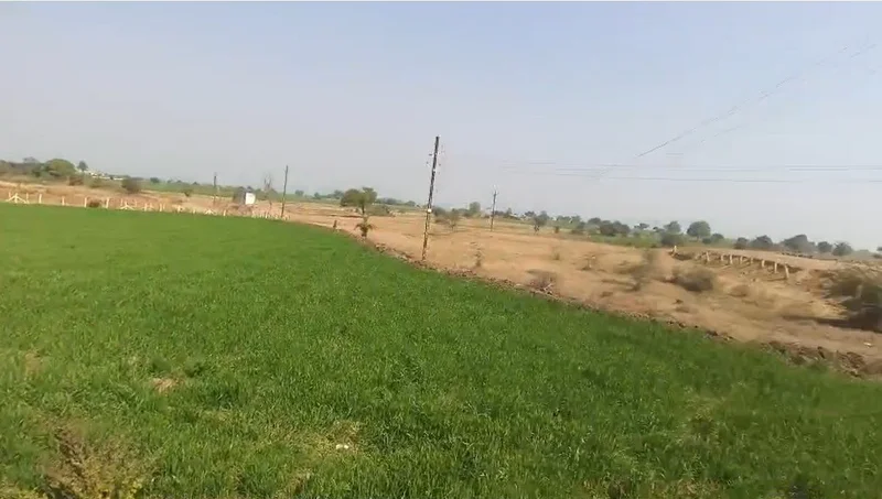 2RXH+6G6, Silodamori, Madhya Pradesh 456006, India preview 2