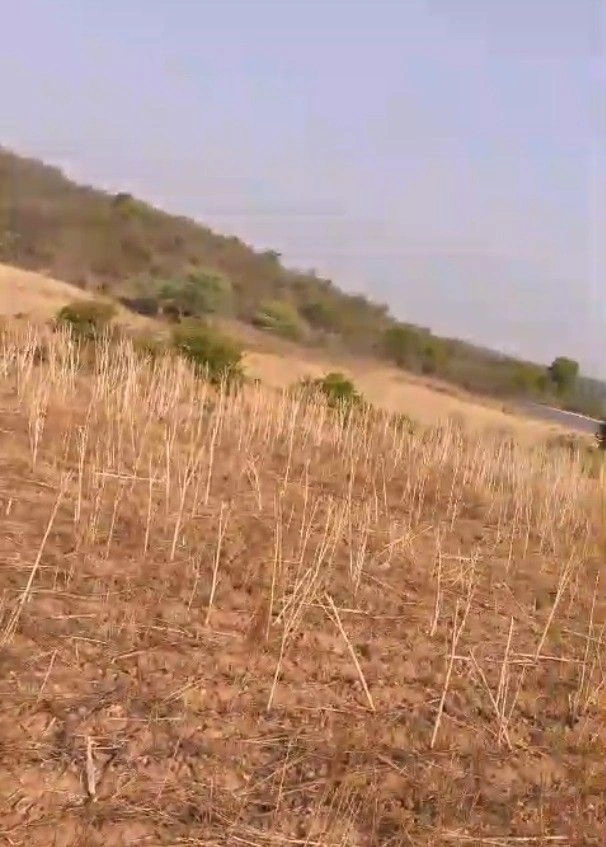 Blue Lotus Hills, Gwalior, Madhya Pradesh, India preview 2