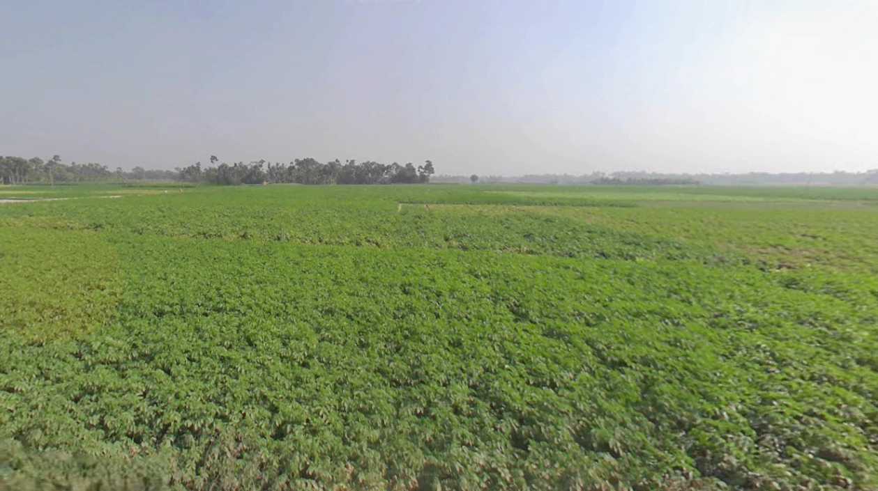 AIIMS Kalyani Rd, Basantapur, West Bengal, India