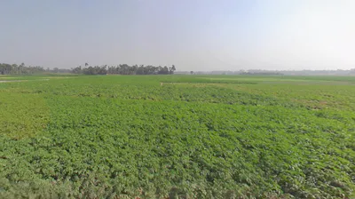 AIIMS Kalyani Rd, Basantapur, West Bengal, India preview 3