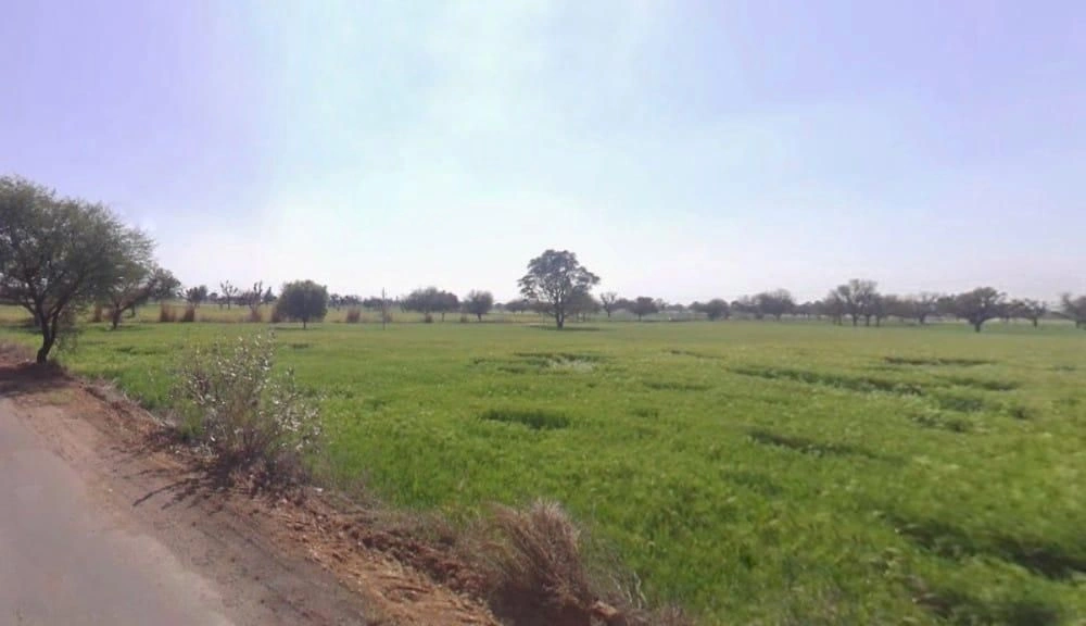 Aloda, Rajasthan 332602, India