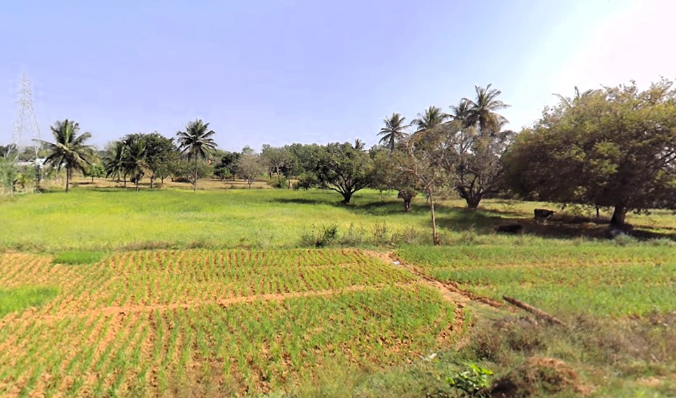 Solur, Karnataka 562127, India