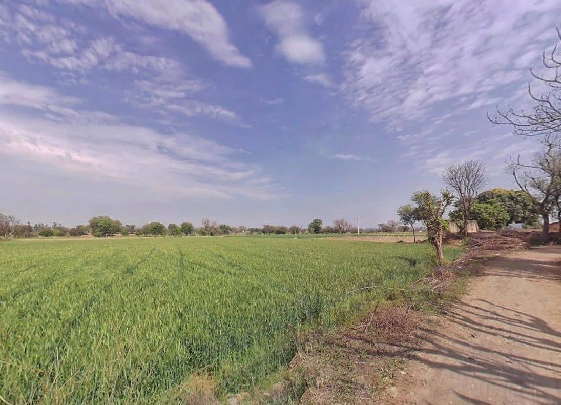 Naithla, Rajasthan 301406, India