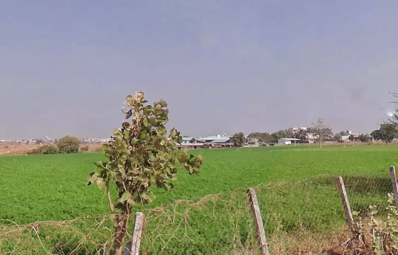 HMQP+JCP, Banjari, Madhya Pradesh 453441, India preview 2