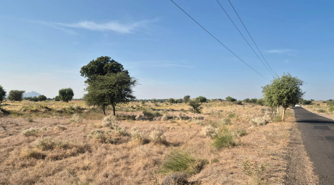 JV5R+WQV, Jalore, Bhadrajun, Rajasthan 307029, India