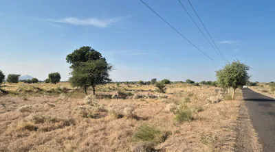 JV5R+WQV, Jalore, Bhadrajun, Rajasthan 307029, India preview 2