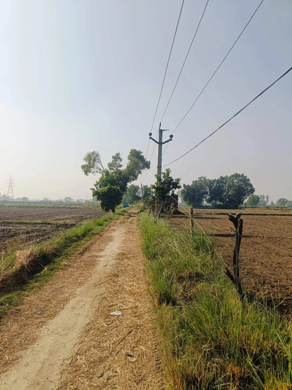 Basai, Mathura, Uttar Pradesh 281501, India - Photo 3