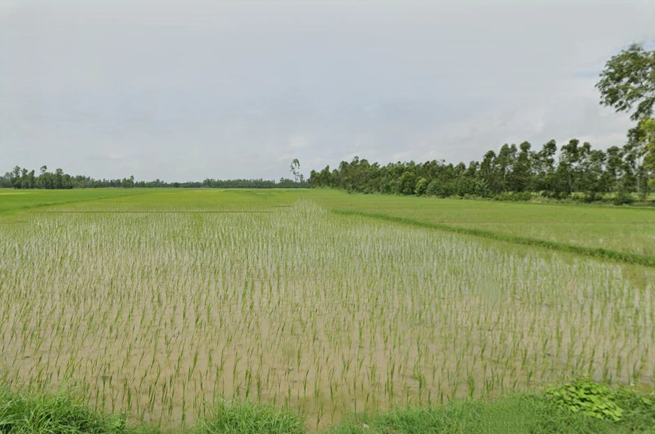 Hamirpur, Uttar Pradesh, India