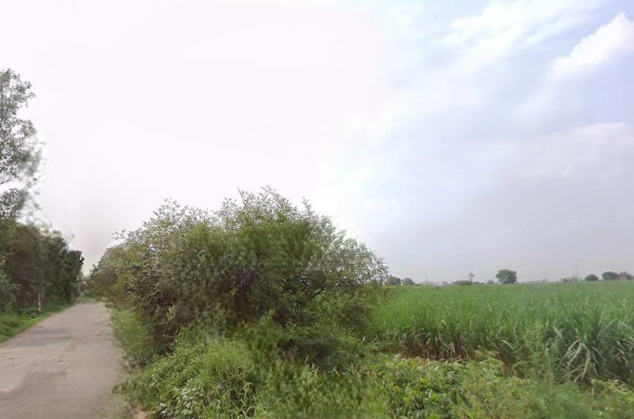 Baraut, Uttar Pradesh 250611, India