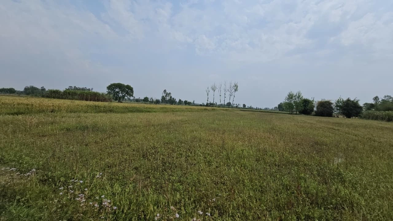 G366+2GQ, Borda Kachhiyan, Rajasthan 323803, India