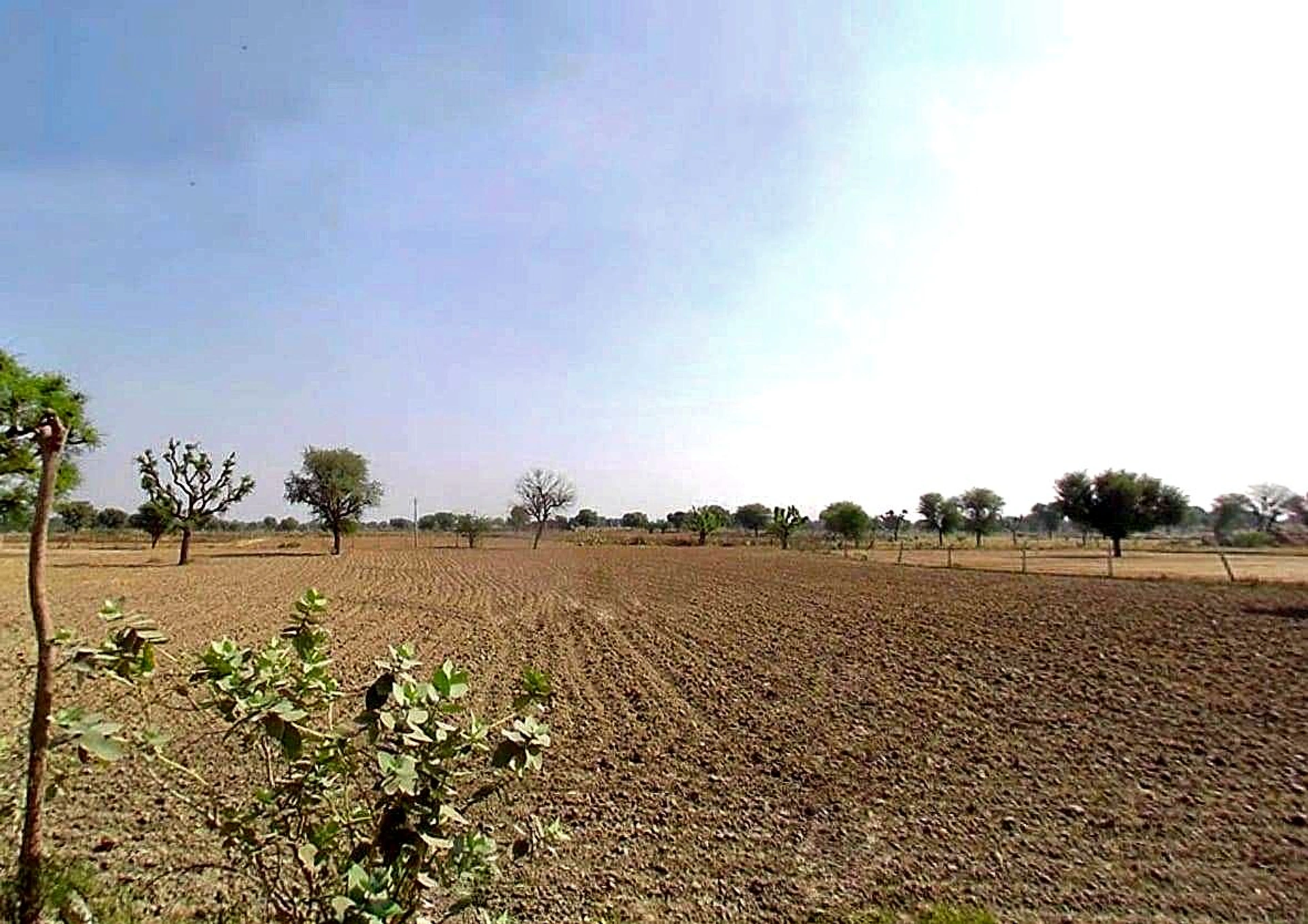 Mahlan, Rajasthan 303007, India