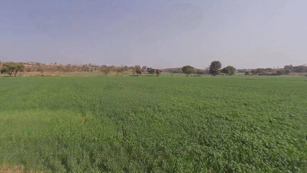 8F2G+6GG, Sewanya, onkara, Bhopal, Sewaniya Onkar, Madhya Pradesh 462010, India