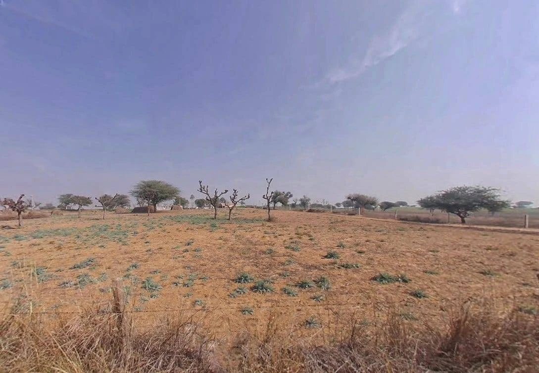 Khachariawas, Rajasthan 332710, India