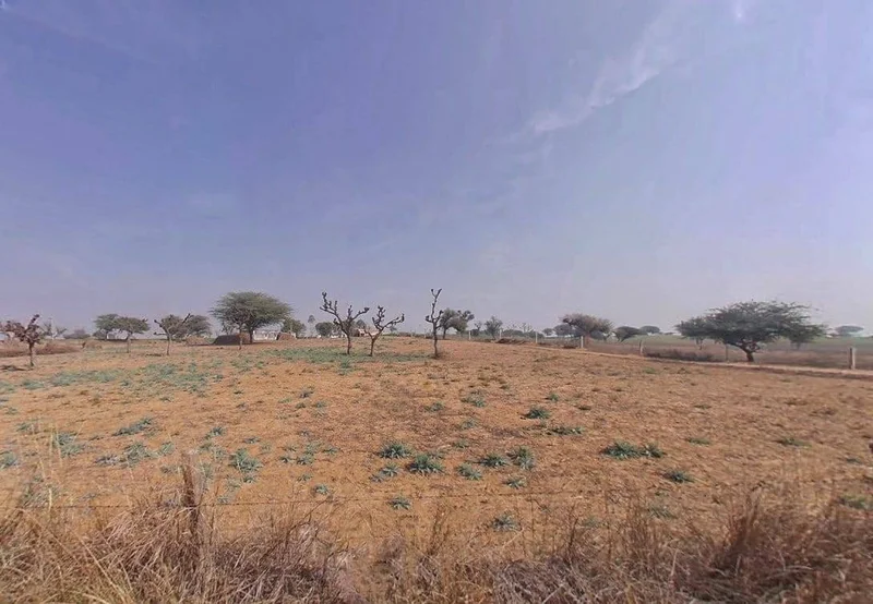 Khachariawas, Rajasthan 332710, India preview 2