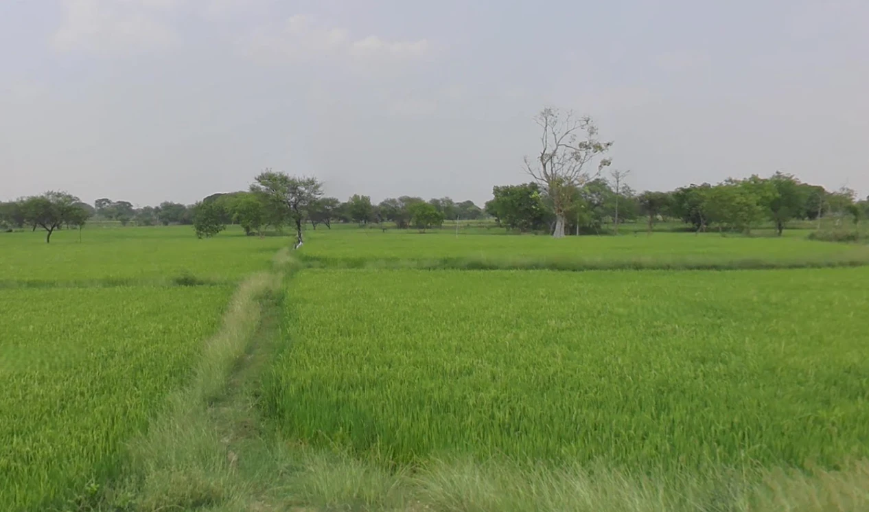 Dharamjaigarh, Chhattisgarh 496116, India