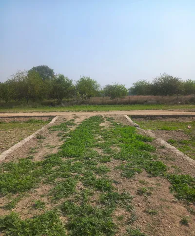 HQXV+J9X, Keoni, Uttar Pradesh 209859, India preview 3