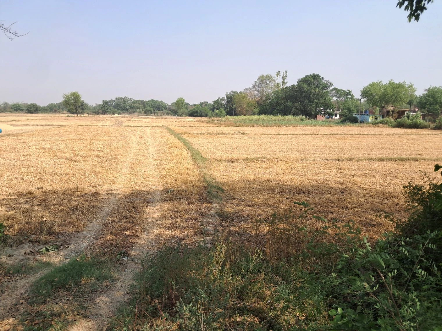 P52G+X2G, Birauli, Uttar Pradesh 224201, India
