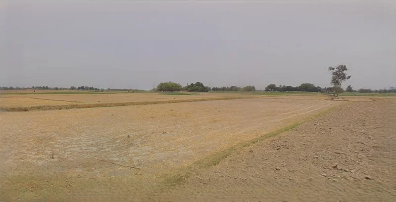 Sri Ganganagar, Rajasthan, India preview 2