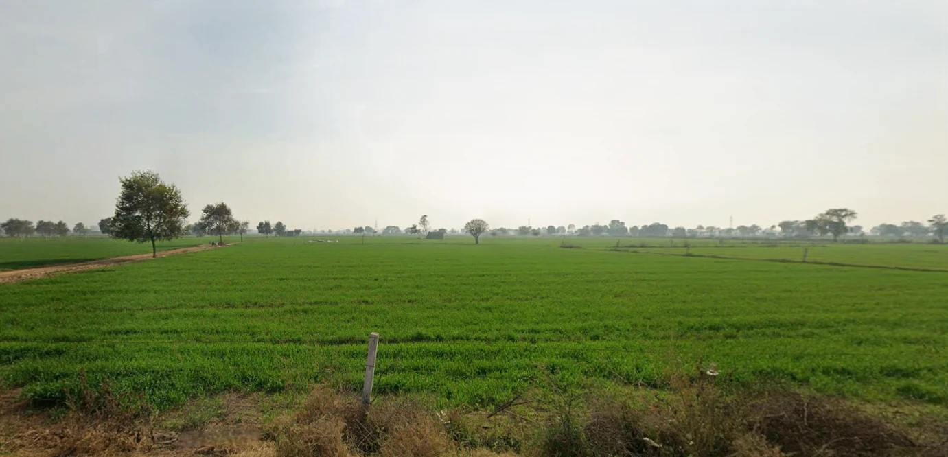 Daya, Haryana 125005, India