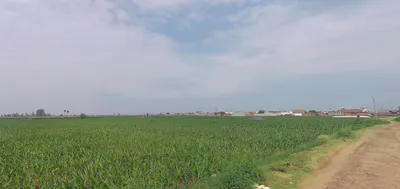 Khurja, Uttar Pradesh 203131, India preview 3