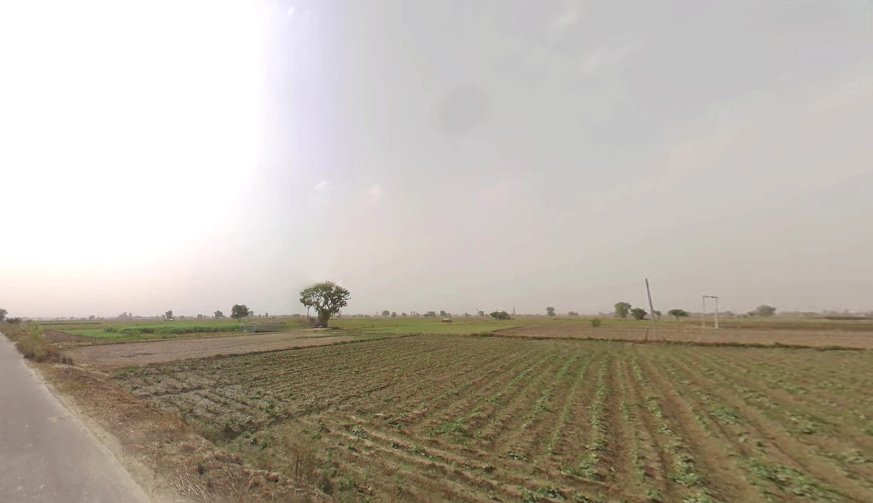Ganaur, Haryana 131101, India