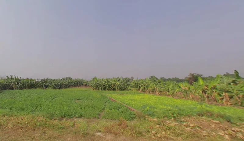 Action Area III, Chotto Chandpur, Newtown, New Town, West Bengal, India preview 3