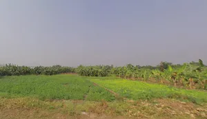 Action Area III, Chotto Chandpur, Newtown, New Town, West Bengal, India preview 3