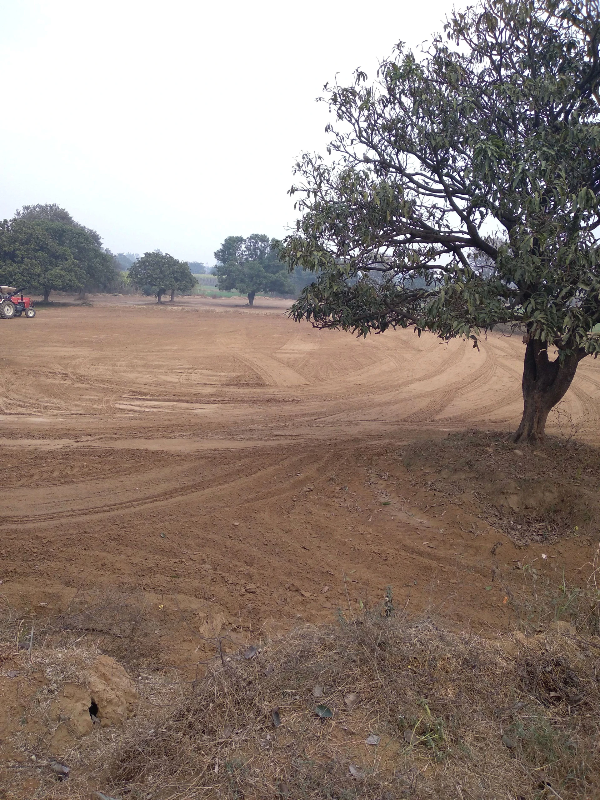 Aonla, Uttar Pradesh 243301, India