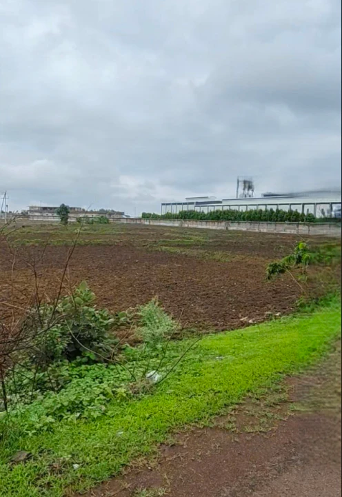Jhirpa, Chhindwara, Madhya Pradesh 480559, India