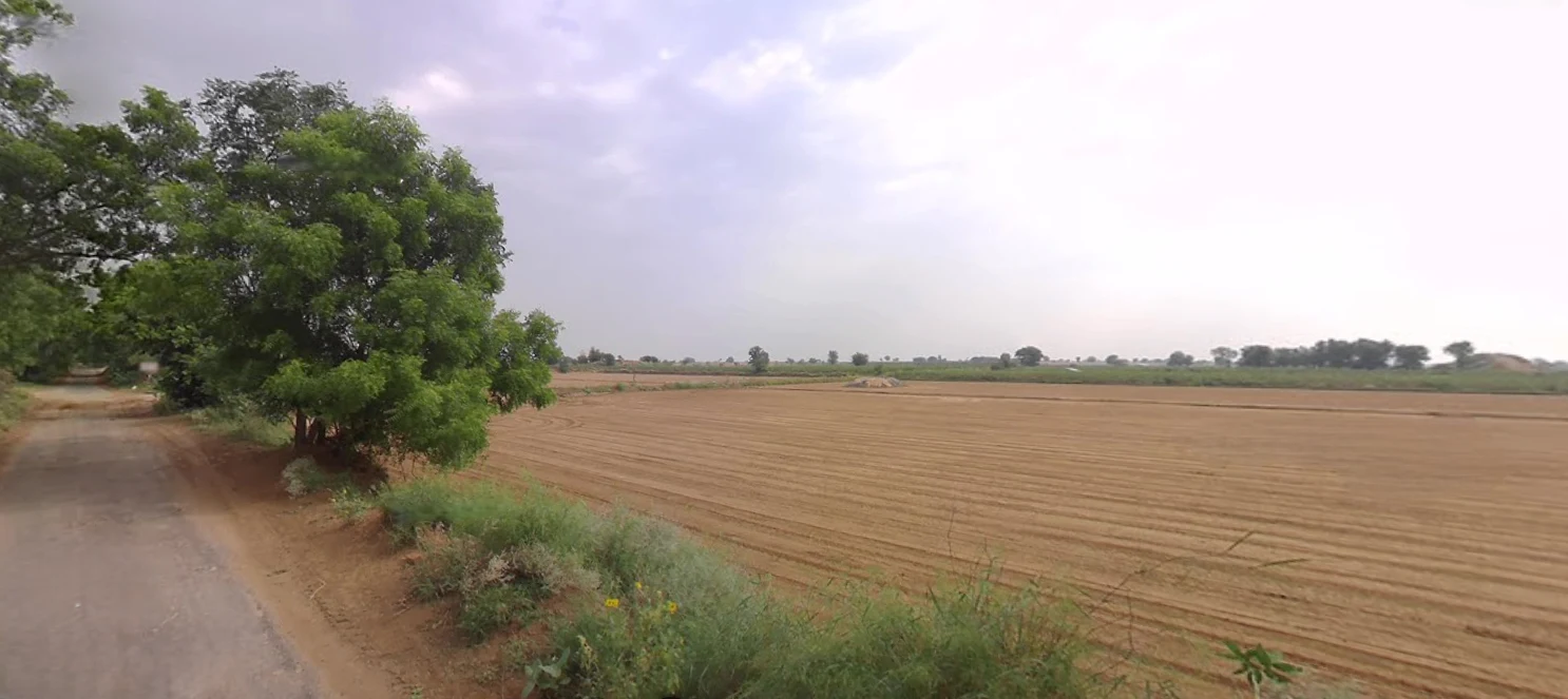 Kaluana, Haryana 125103, India preview 2