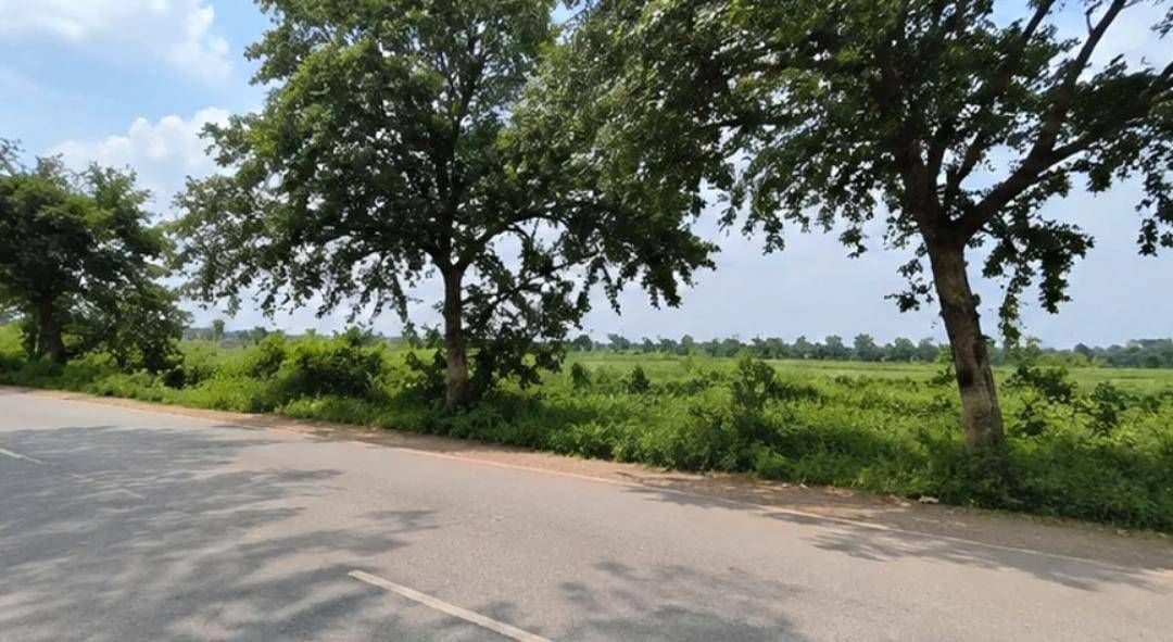 Madani, Sikar, Rajasthan, India