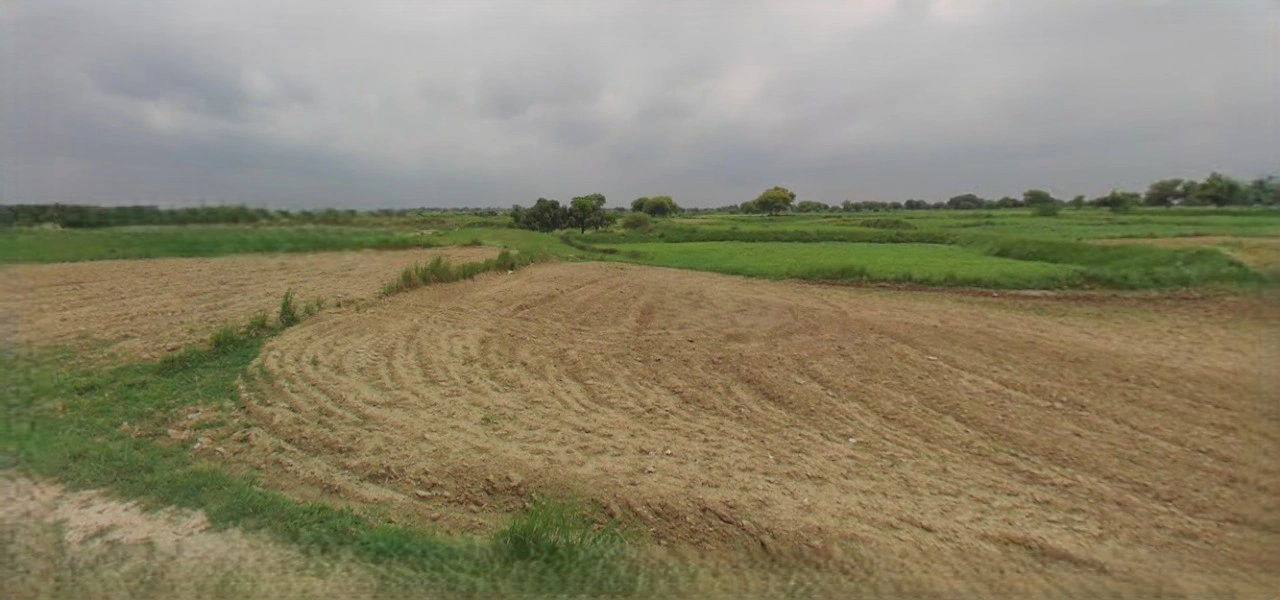 Panipat, Haryana, India