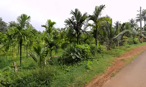 Belthangady, Karnataka 574214, India preview 2