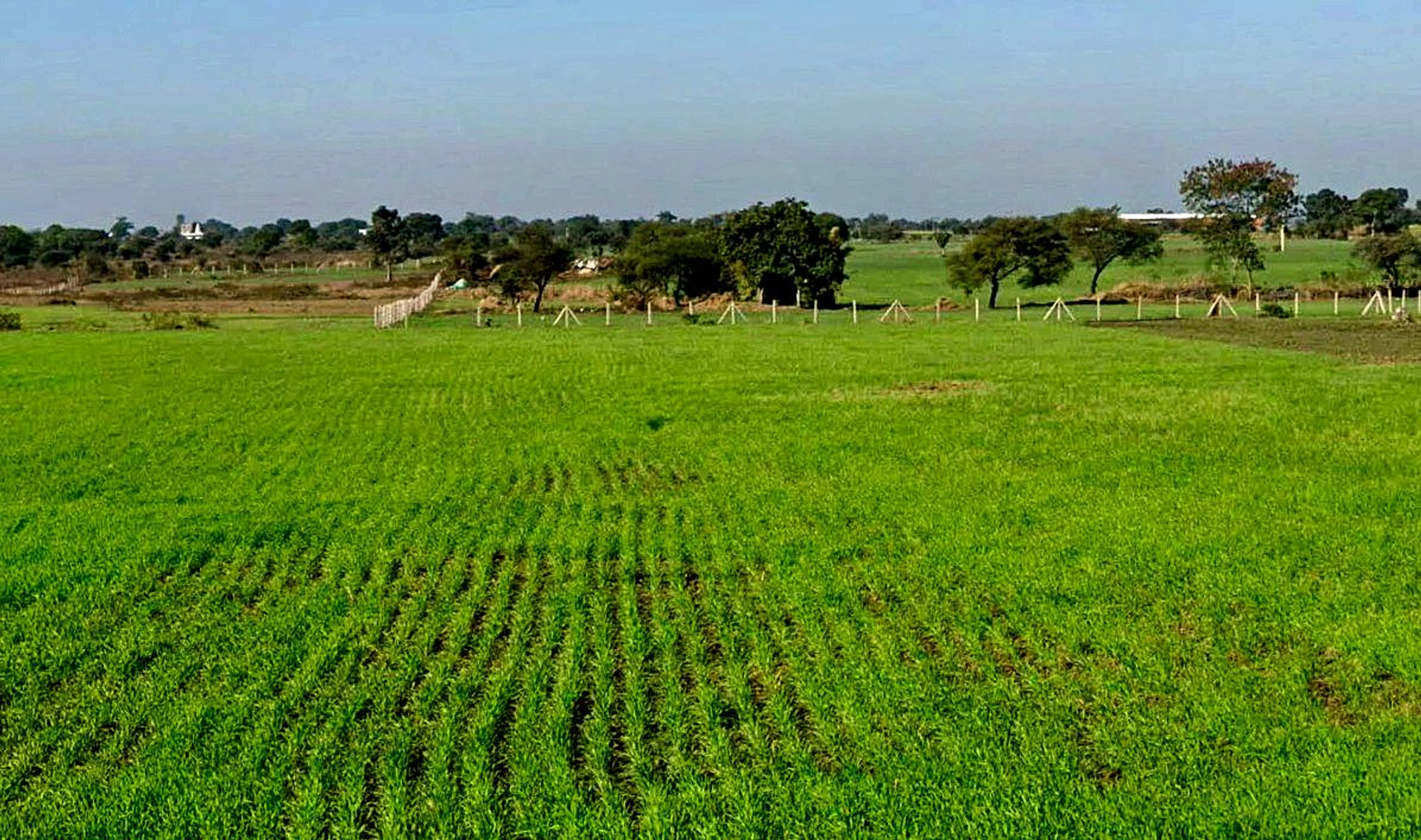 Khokhari, Madhya Pradesh 466001, India