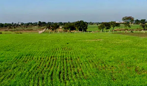 Khokhari, Madhya Pradesh 466001, India preview 3