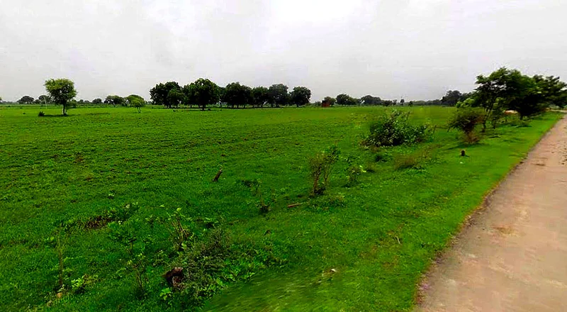 Chaumuhan, Uttar Pradesh 281406, India preview 3