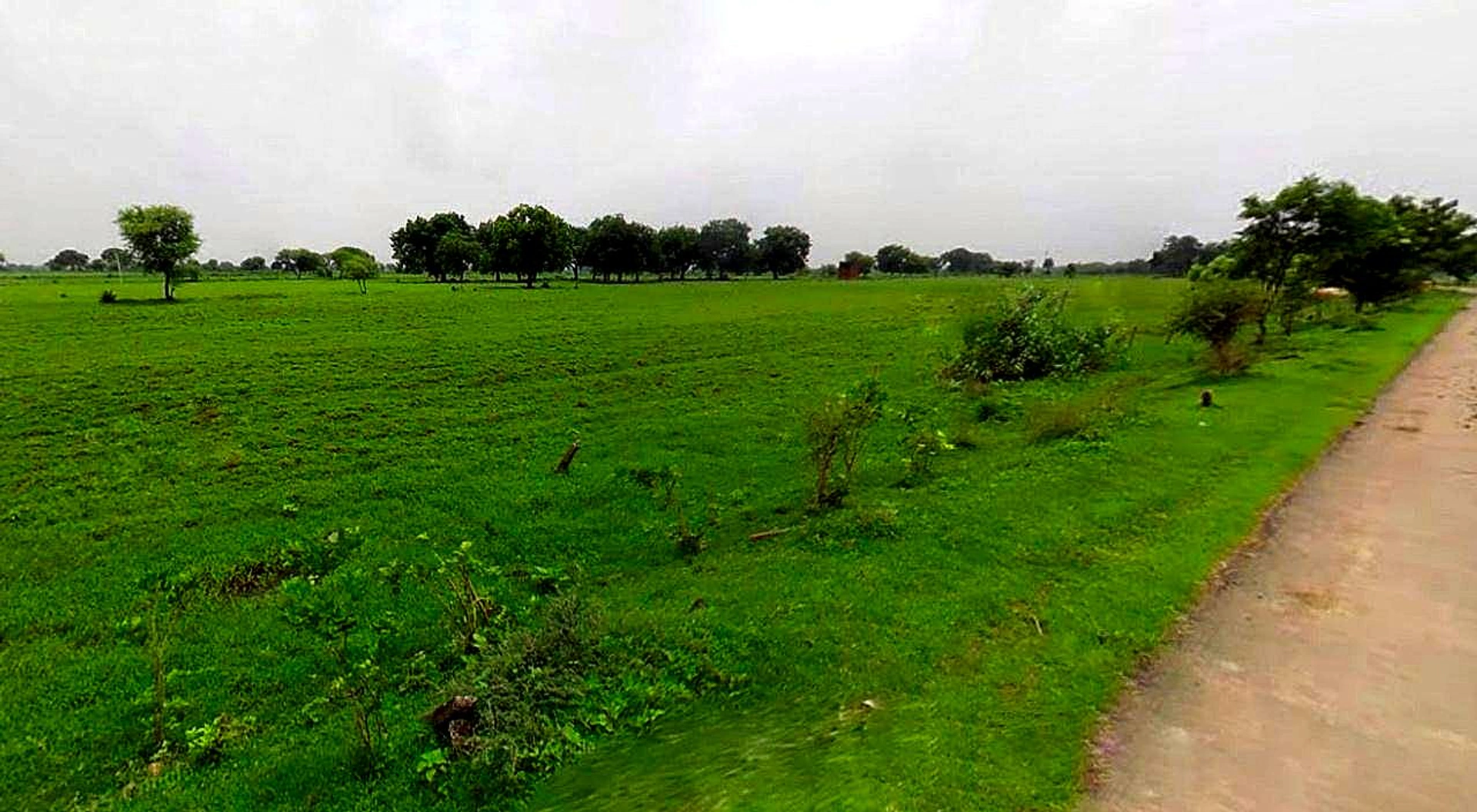 Chaumuhan, Uttar Pradesh 281406, India