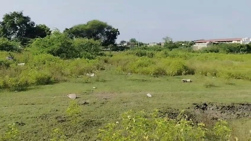 Devli Khurd, Kota, Rajasthan 326519, India