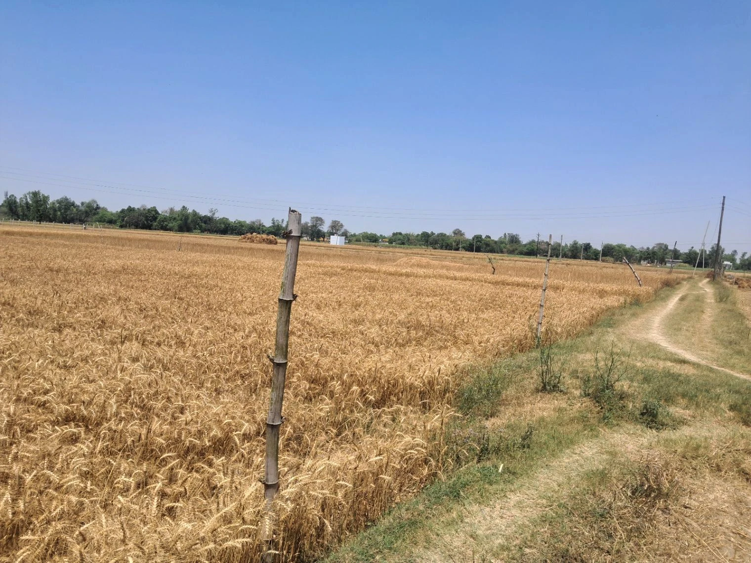 M5XF+R6V, Itoura, Uttar Pradesh 224201, India