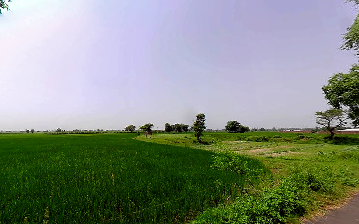 Jorasi, Haryana 132101, India