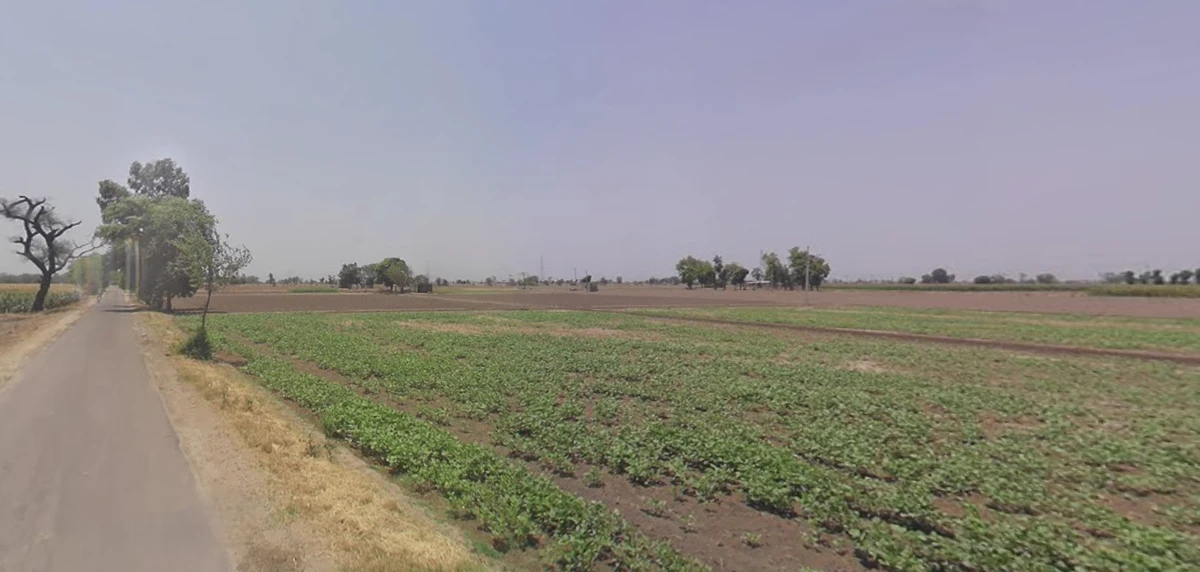 Chamyari, Punjab 143103, India