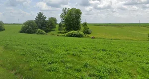 Orchha, Madhya Pradesh 472246, India preview 3