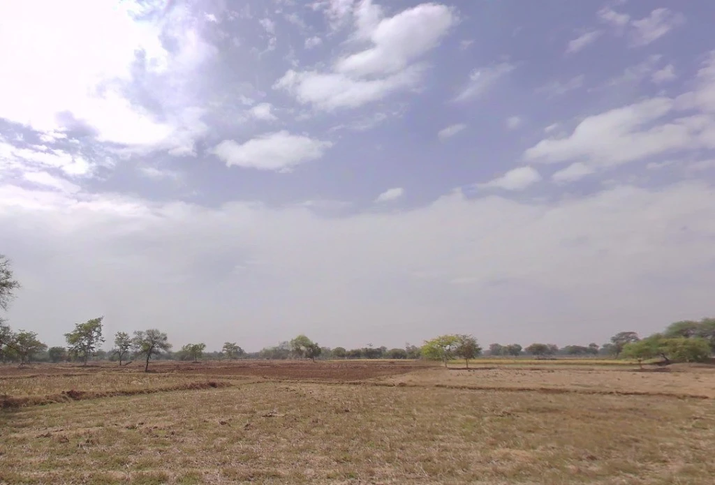 Bhothli, Chhattisgarh 491443, India