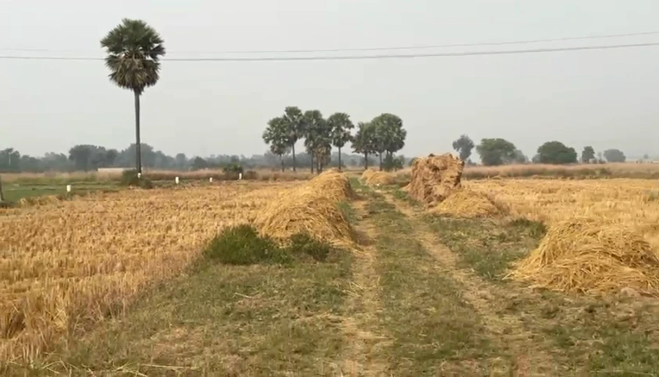 Naubatpur, Bihar 801109, India