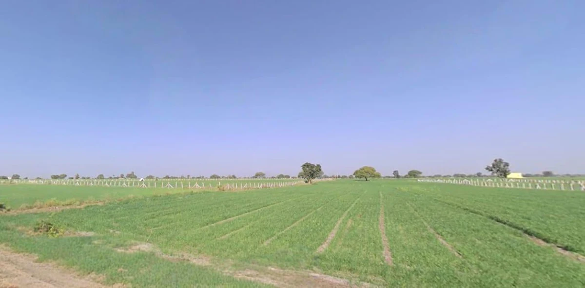 P2MP+35M, Ankya, Madhya Pradesh 452016, India