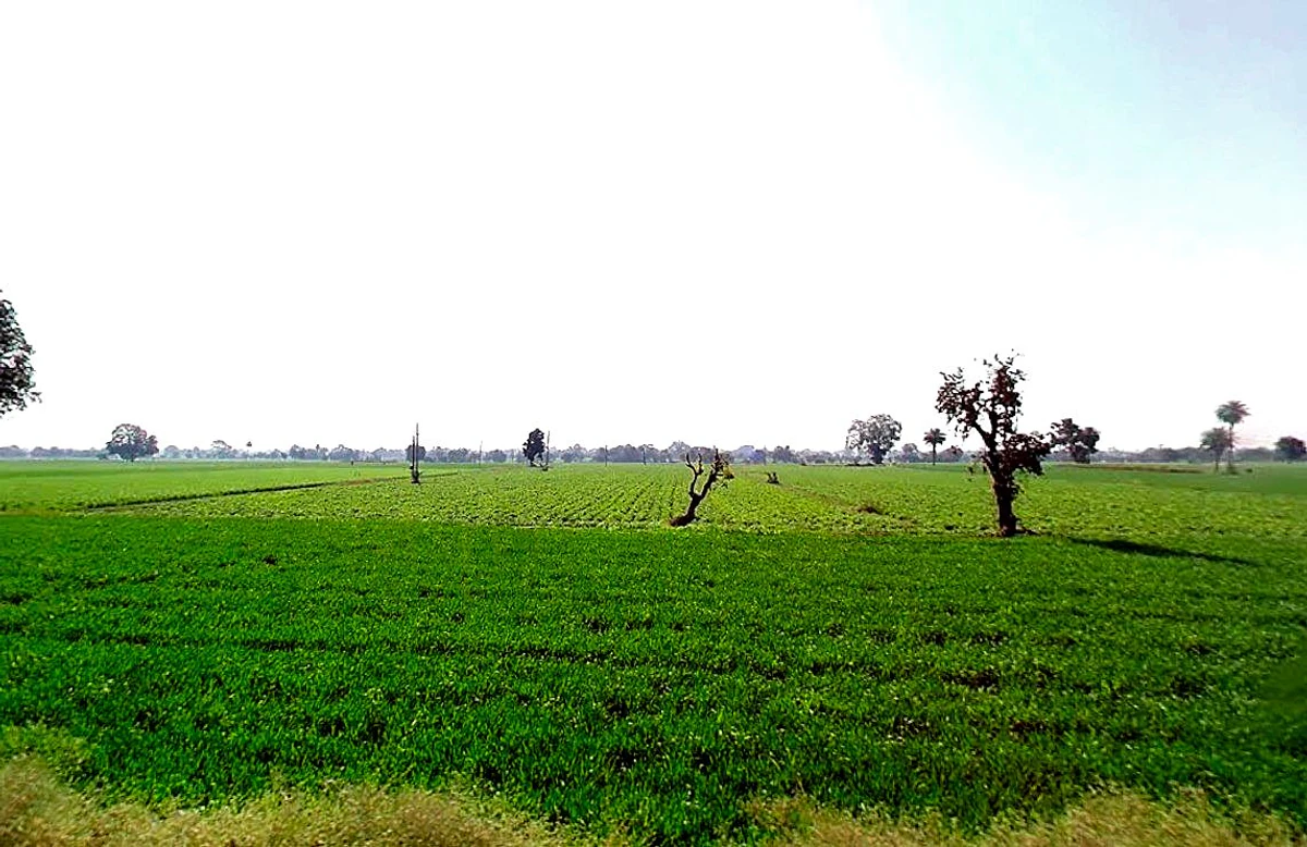 Kolshet, Thane West, Thane, Maharashtra 400607, India