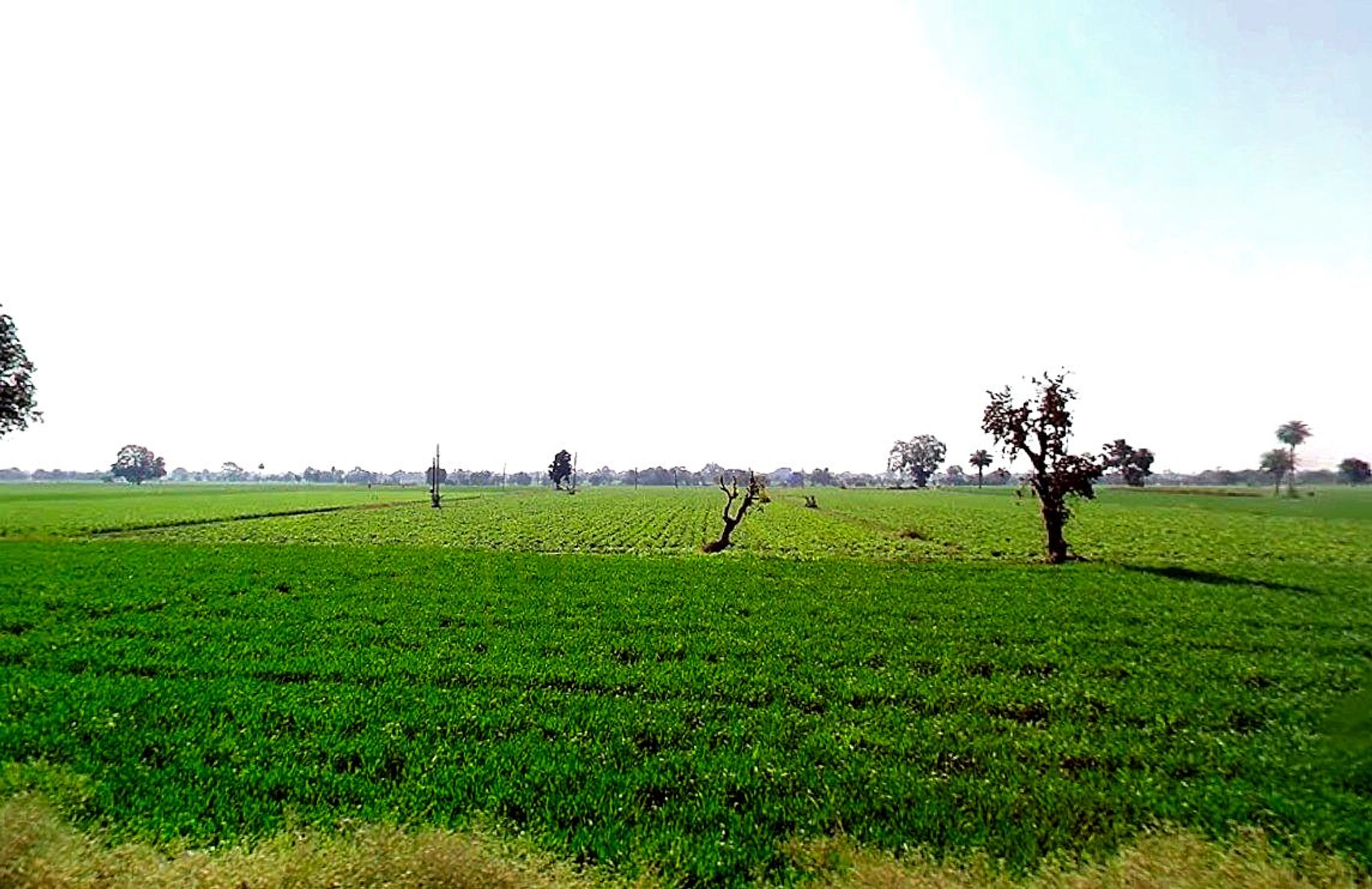 Kolshet, Thane West, Thane, Maharashtra 400607, India