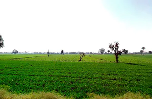 Kolshet, Thane West, Thane, Maharashtra 400607, India preview 2